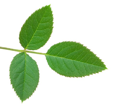 Adyashanti Gatherings: Recognizing Quiet and Spaciousness in a Noisy World