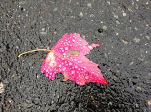 img_1413_edit